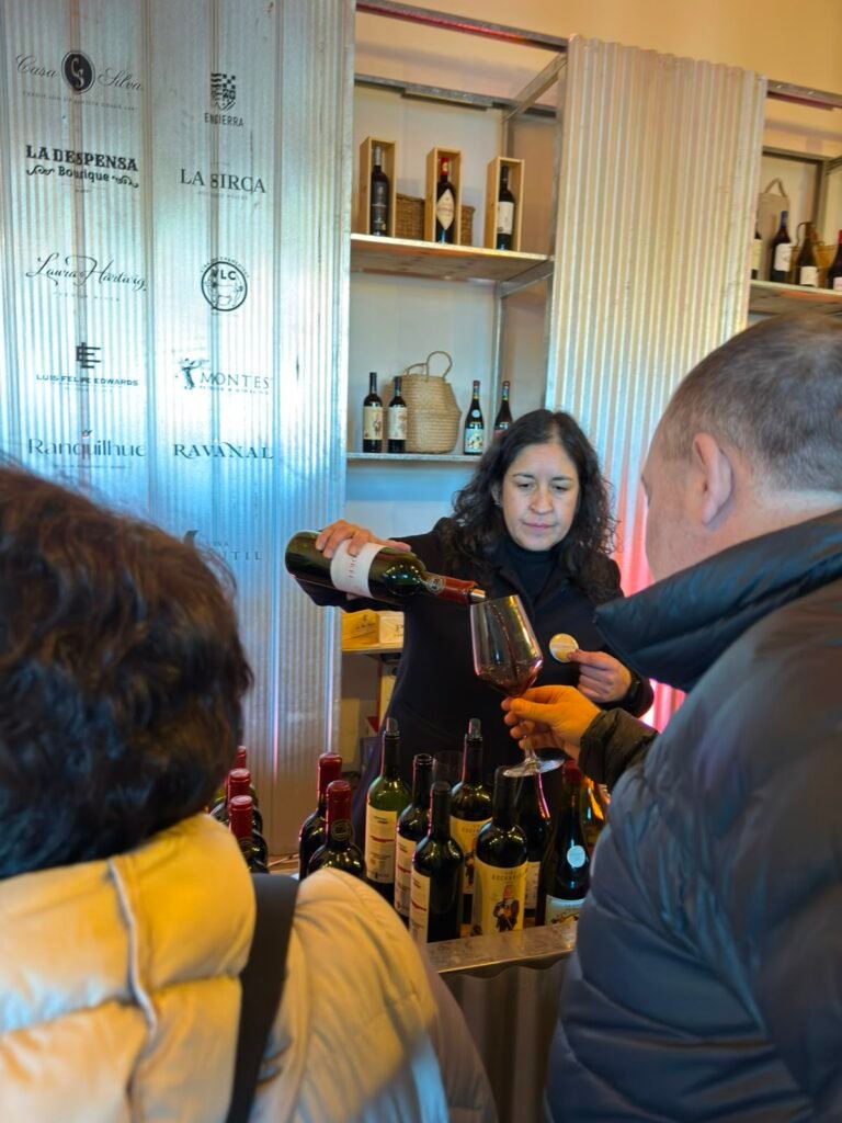Degustación guiada de vinos del Valle de Colchagua en la Barra Premium, MUT Santiago
